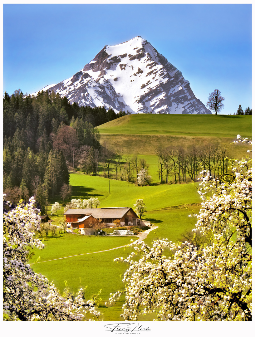 Frühling in Oberösterreich 