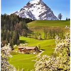 Frühling in Oberösterreich 