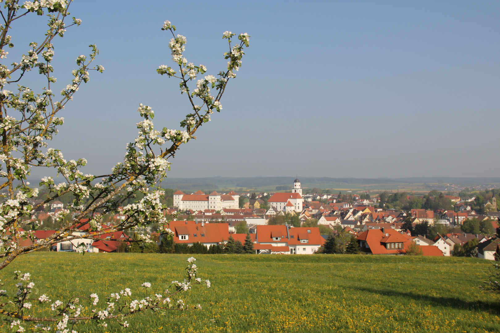 Frühling in Oberschwaben