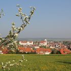 Frühling in Oberschwaben