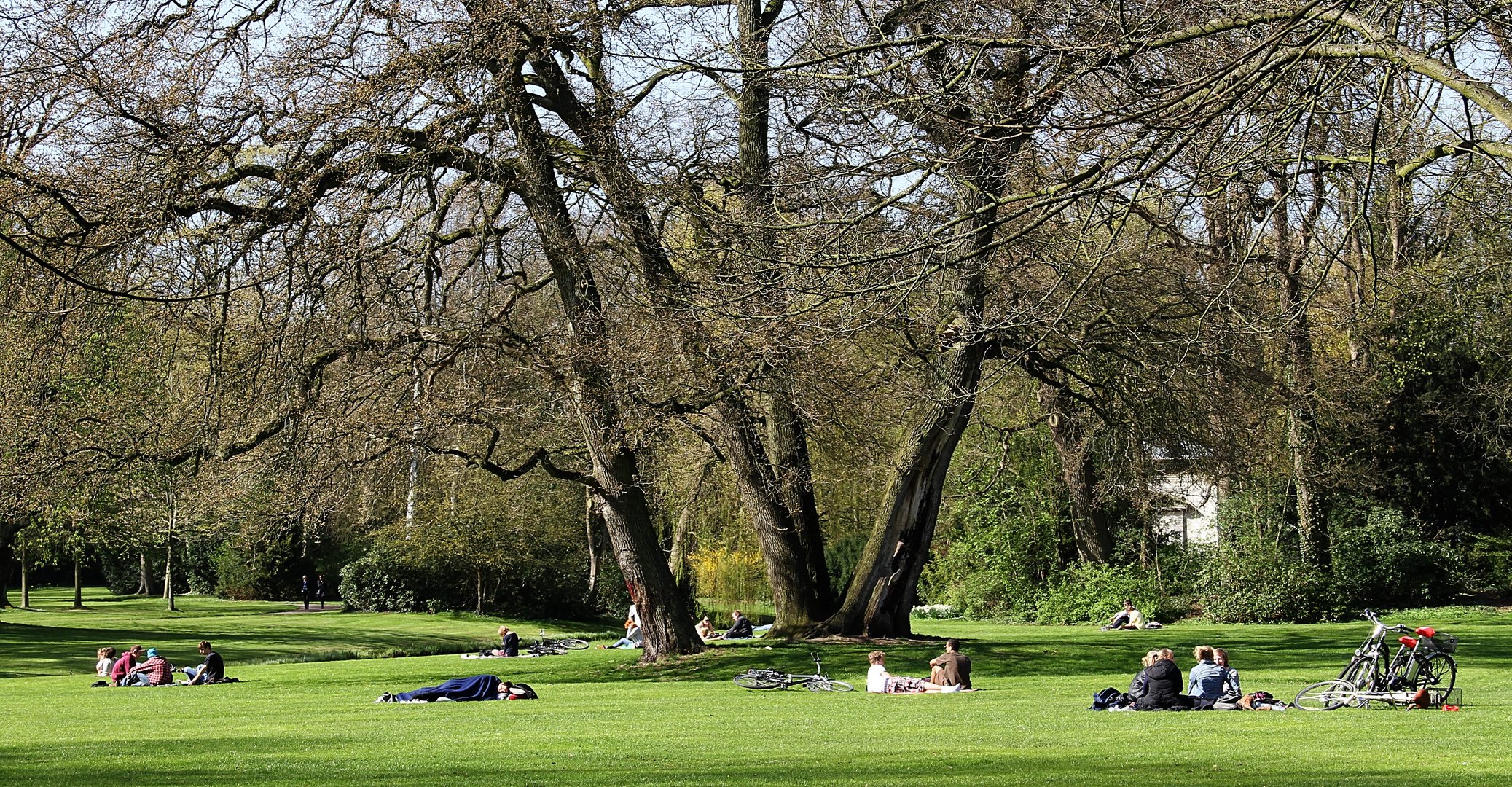 Frühling in Oldenburg ... der Schlossgarten