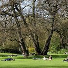 Frühling in Oldenburg ... der Schlossgarten