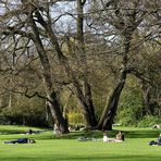 Frühling in Oldenburg ... der Schlossgarten