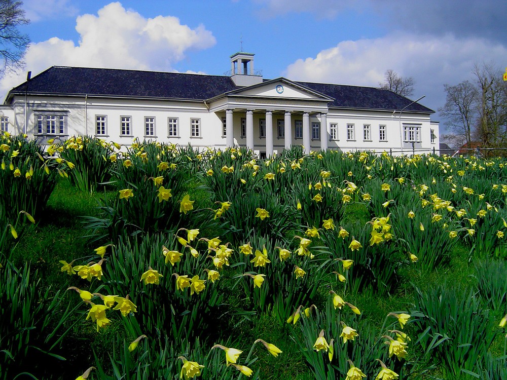 Frühling in Oldenburg Hintergrund PFL