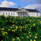 Frühling in Oldenburg Hintergrund PFL