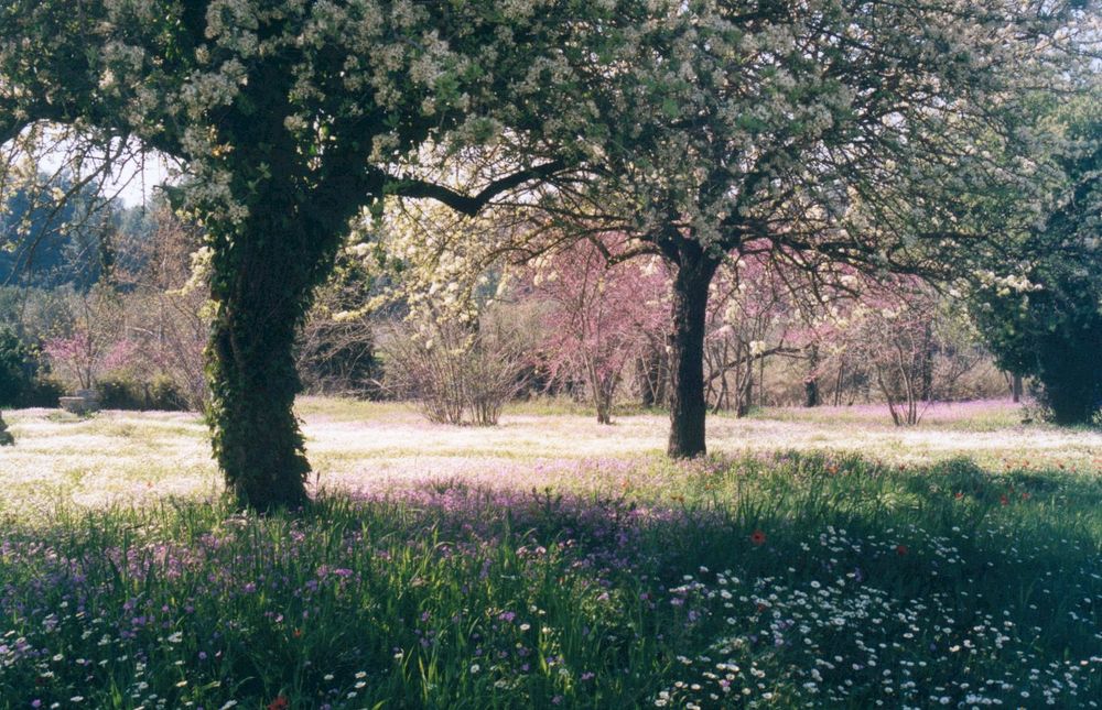 Frühling in Olympia