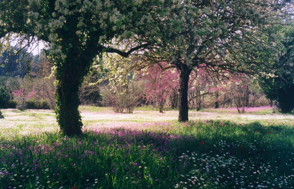 Frühling in Olympia, Griechenland