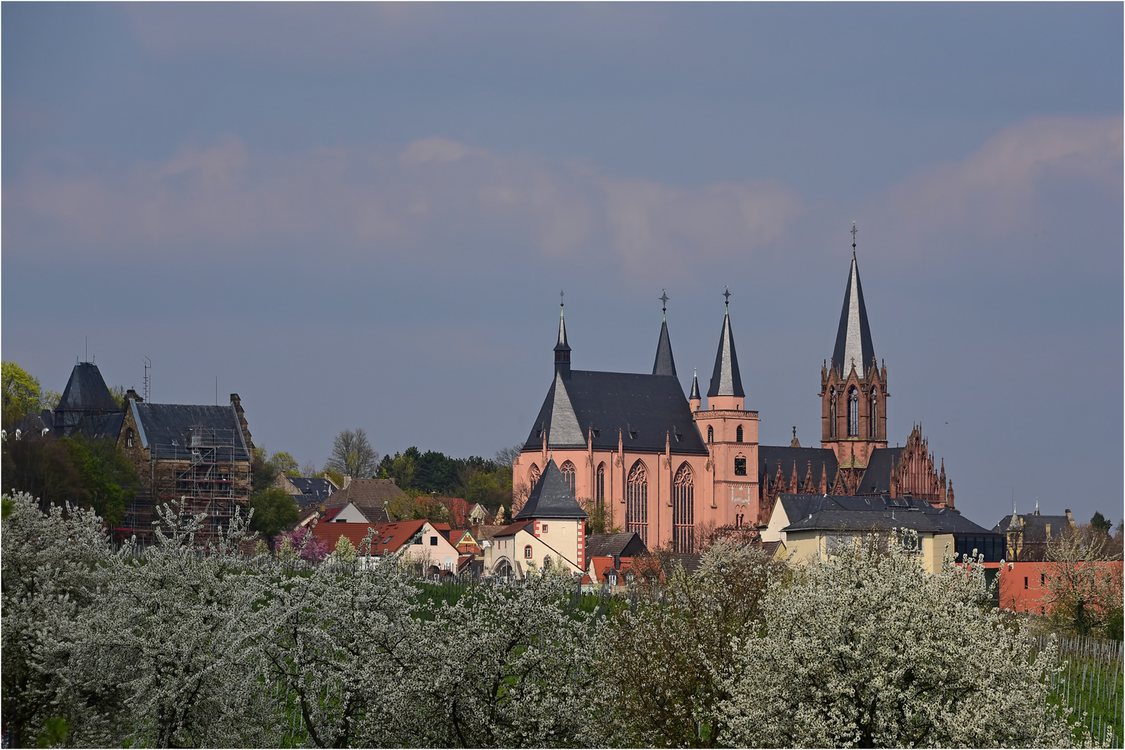 Frühling in Oppenheim