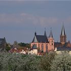 Frühling in Oppenheim