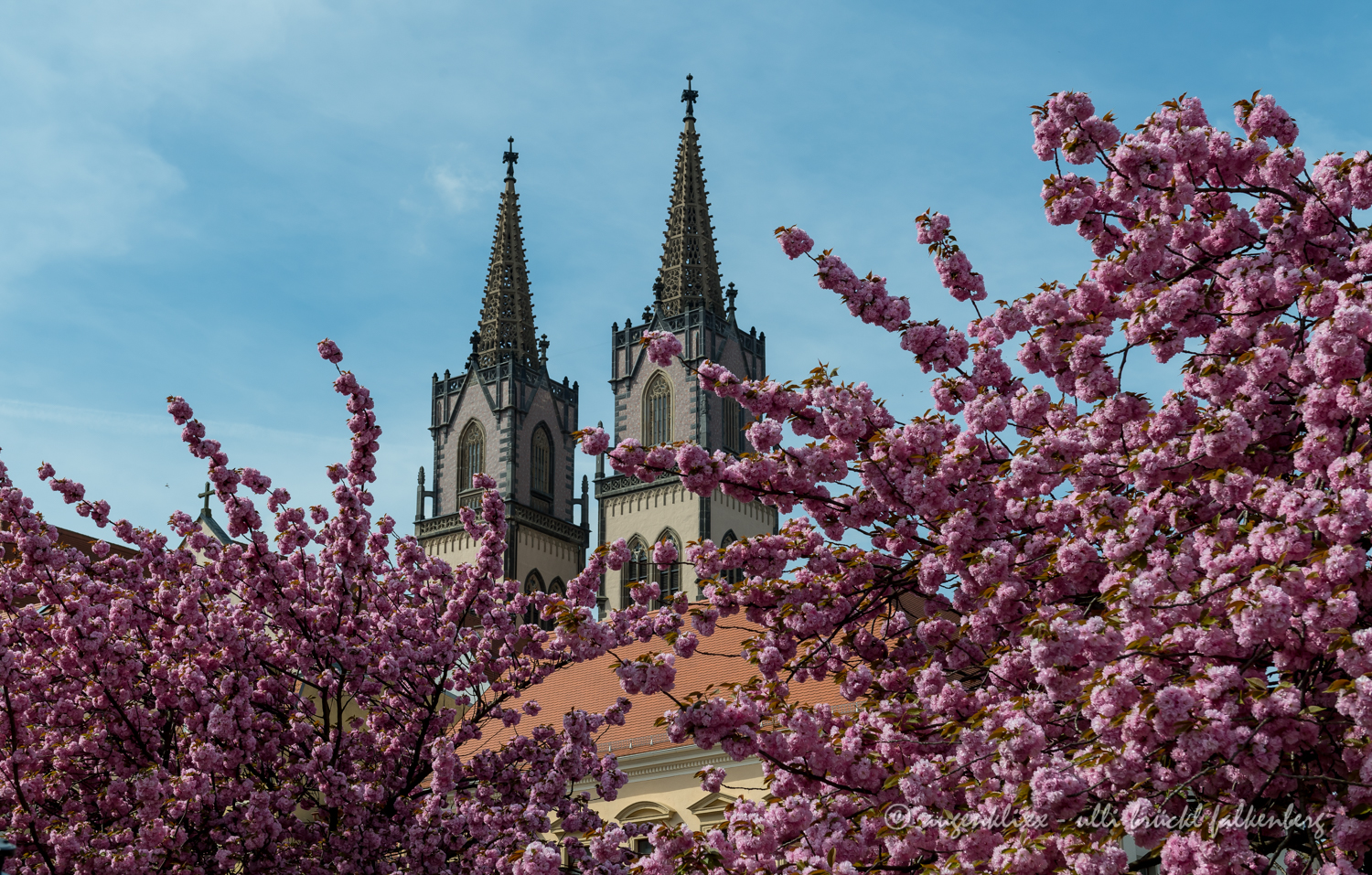 Frühling in Oschatz