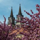 Frühling in Oschatz