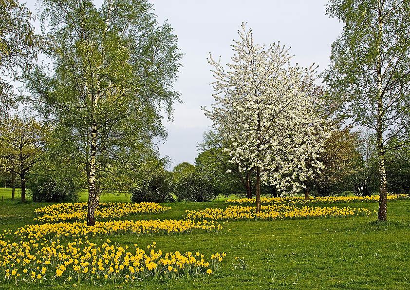Frühling in Osnabrück