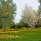 Frühling in Osnabrück