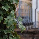 Frühling in Osnabrück