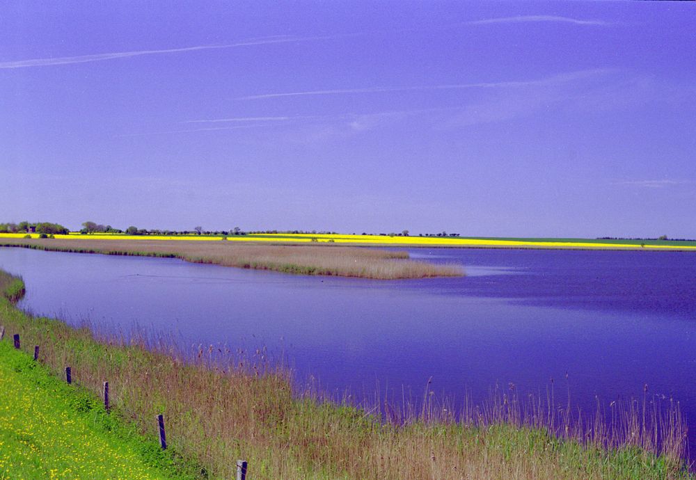 Frühling in Ostholstein