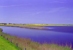 Frühling in Ostholstein