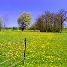 Frühling in Ostholstein