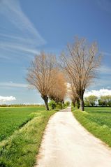 Frühling in Ostholstein 4