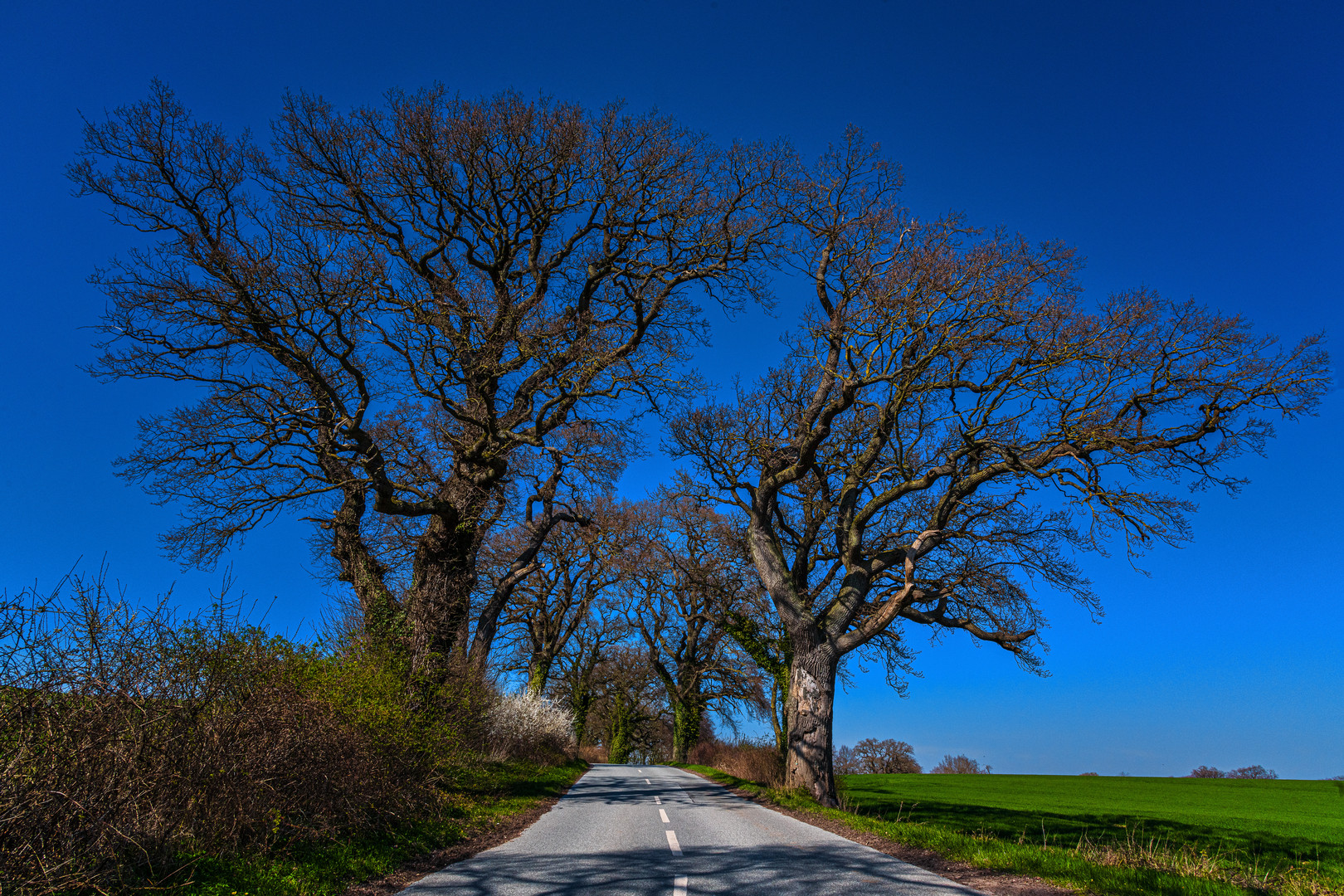 Frühling in Ostholstein