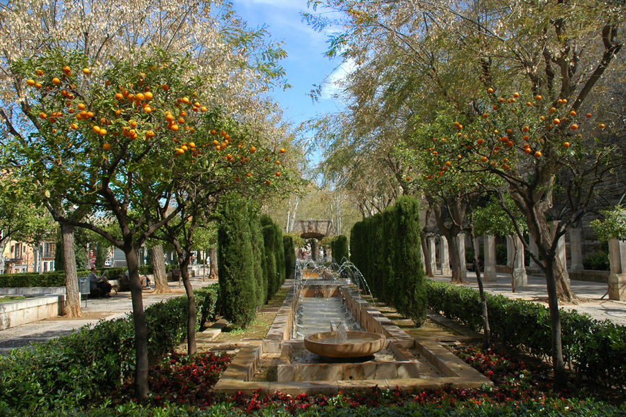 Frühling in Palma