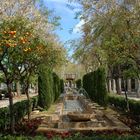 Frühling in Palma