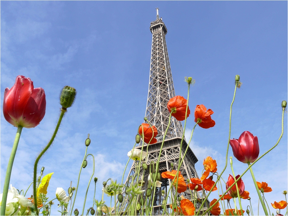 Frühling in Paris