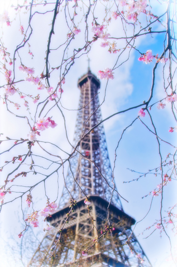  Frühling in Paris