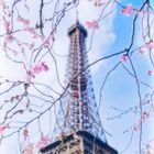  Frühling in Paris