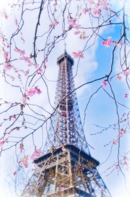 Frühling in Paris