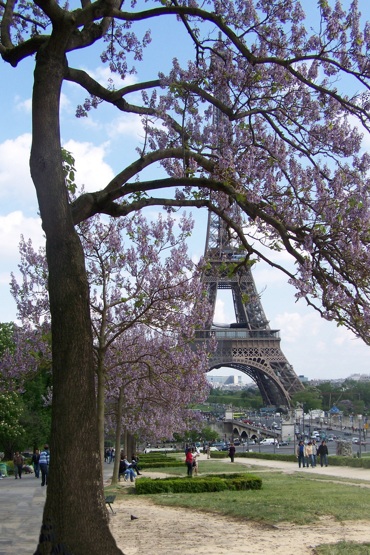 Frühling in Paris