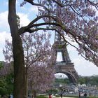 Frühling in Paris