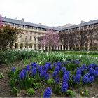 Frühling in Paris