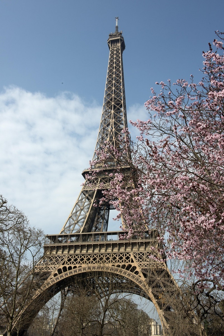 ~ Frühling in Paris ~