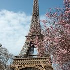 ~ Frühling in Paris ~