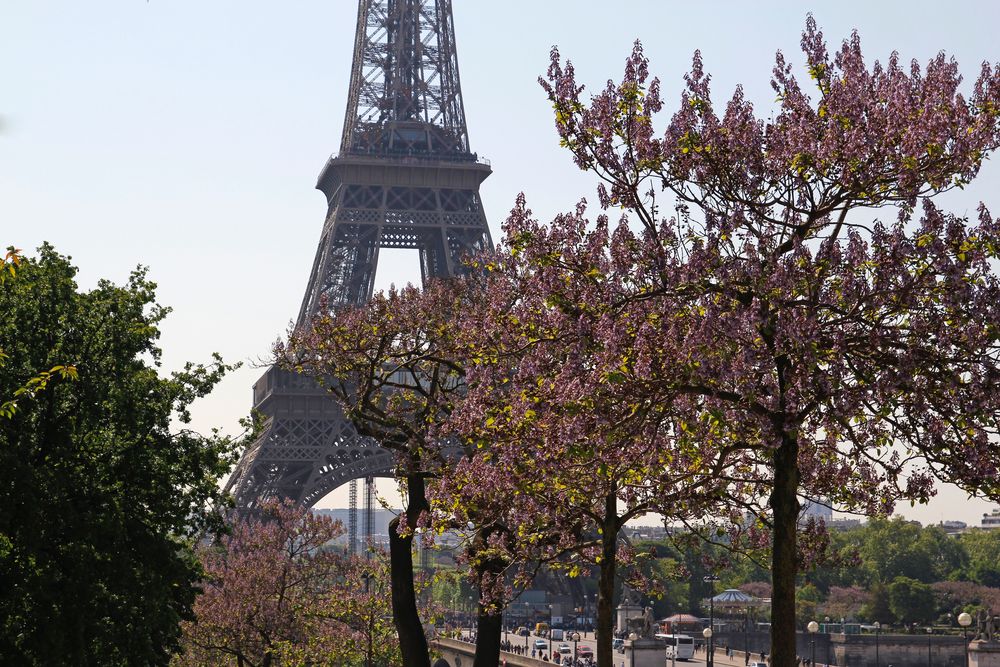 Frühling in Paris