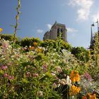 Frühling in Paris