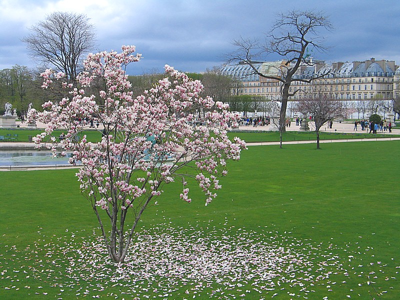 Frühling in Paris