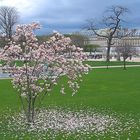 Frühling in Paris