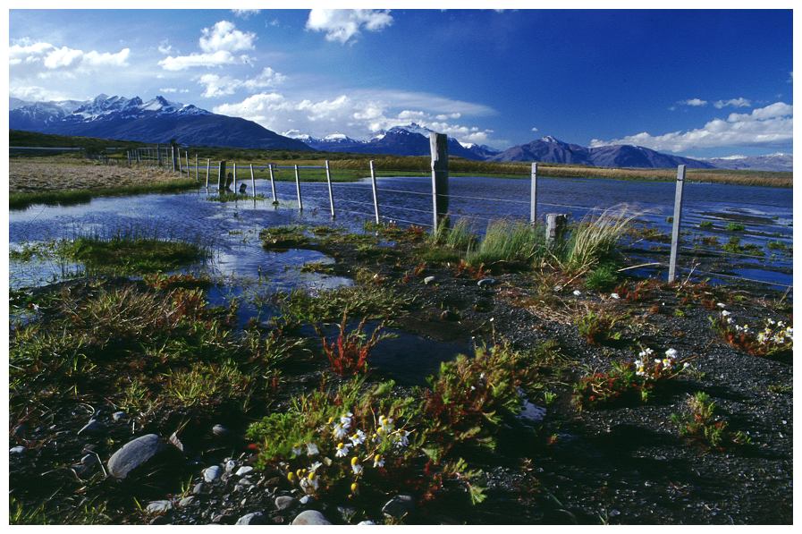 Frühling in Patagonien