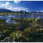 Frühling in Patagonien