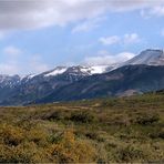 FRÜHLING IN PATAGONIEN