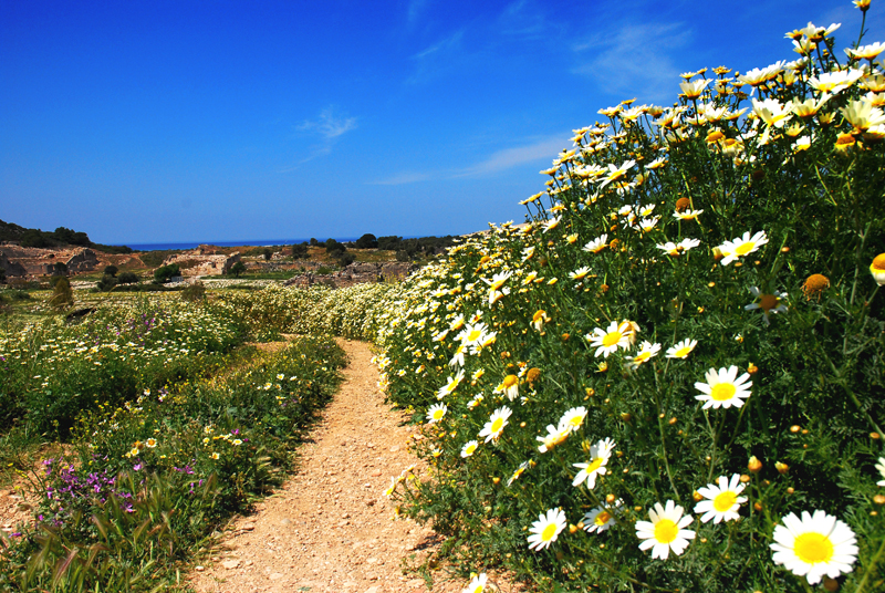 Frühling in Patara