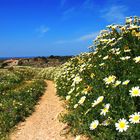 Frühling in Patara