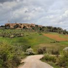 FRÜHLING IN PIENZA