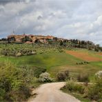 FRÜHLING IN PIENZA