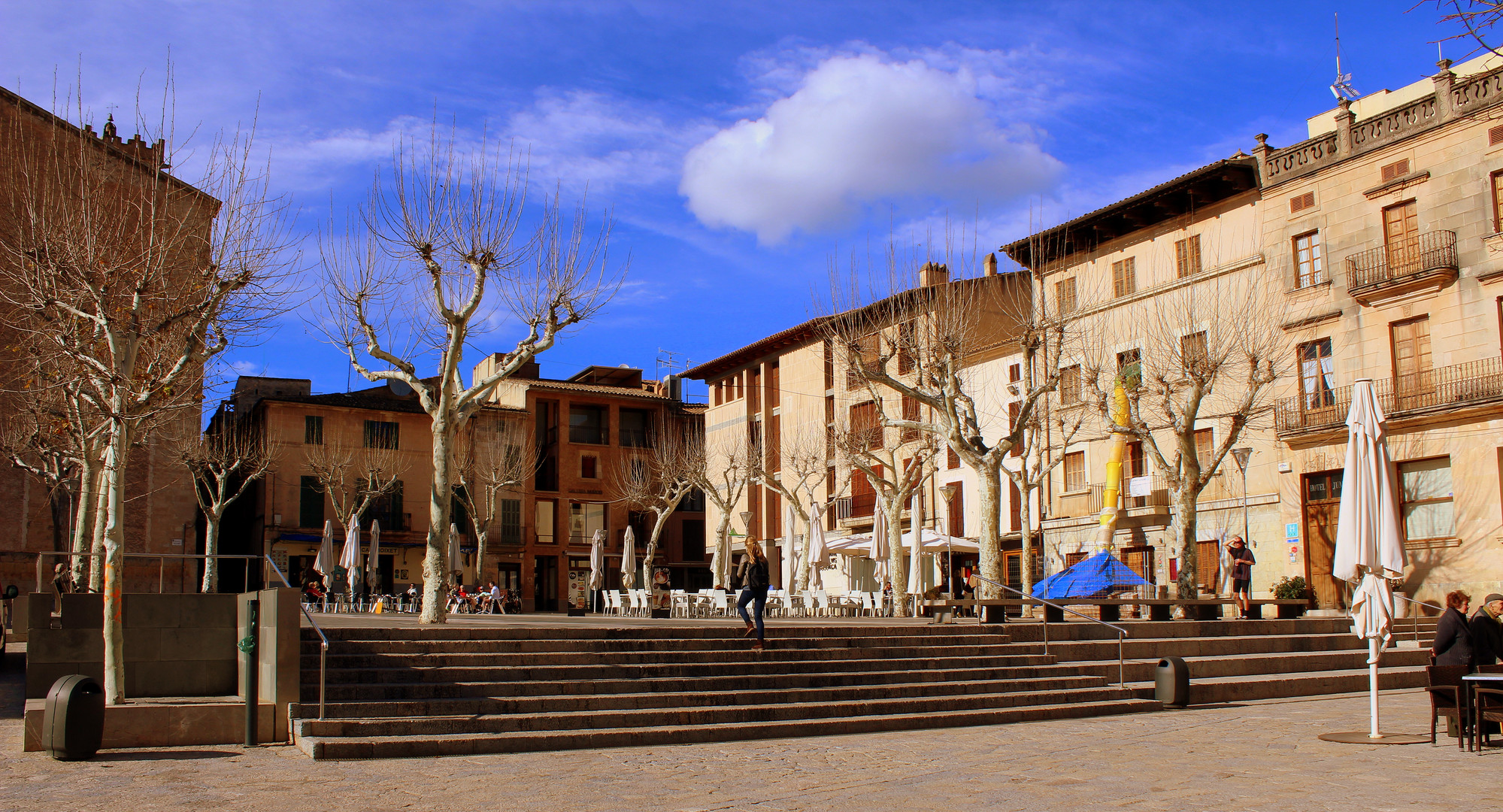 Frühling in Pollensa