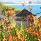 Frühling in Portugal