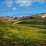 Frühling in Portugal