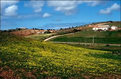 Frühling in Portugal