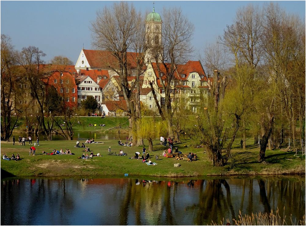 Frühling in Regensburg (III)